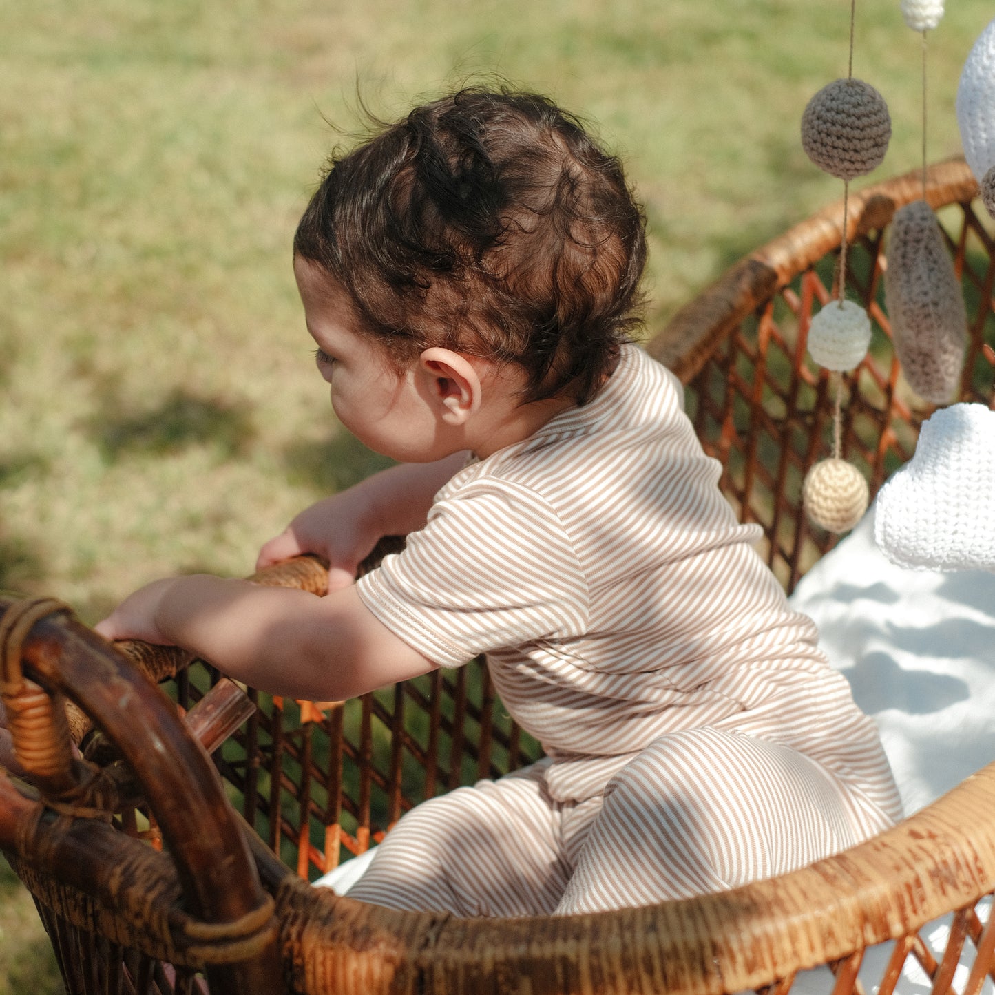 Short - Sleeved Bodysuits in Alabaster Bloom